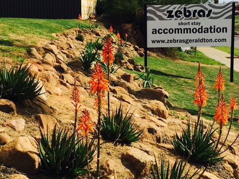 Zebras Guest House Geraldton - Sunshine Coast Guide 2