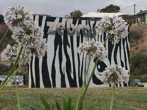 Zebras Guest House Geraldton - Sunshine Coast Guide 0