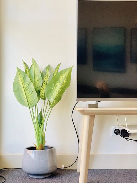 ZEN Homes On Collins - Sunshine Coast Guide 3