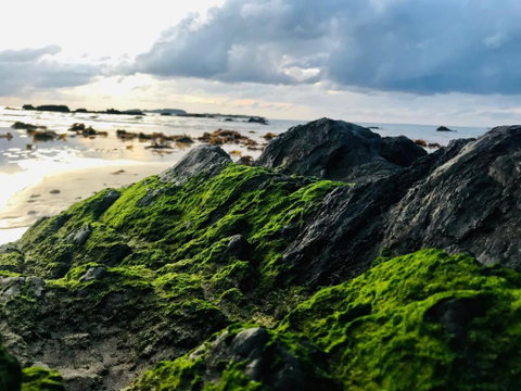 A Sanctuary At Denhams - Family & Pooch Friendly - Sunshine Coast Guide 2