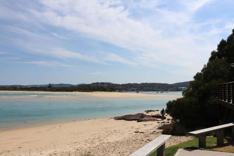 ADS On Collins - 4 Bedroom And Pet Friendly - Sunshine Coast Guide 1