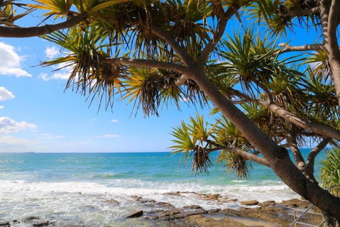 Alex Heads Beachfront Resort 2 Bedroom Apartment - Sunshine Coast Guide 3