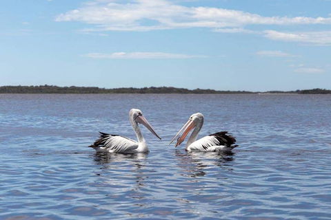 Amazing Ansons Bay Remote Paradise For The Family In The Bay Of Fires Area - Sunshine Coast Guide 2
