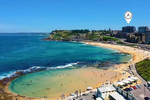 Arena Newcastle Beach - Sunshine Coast Guide 0