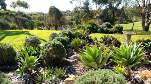 Austiny Bed And Breakfast Victor Harbor - Sunshine Coast Guide 2