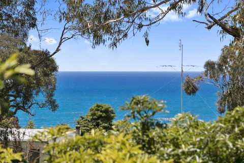 Avirgonia - Sunshine Coast Guide 2
