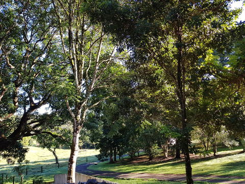 Bee-Haven Cottage - Sunshine Coast Guide 7