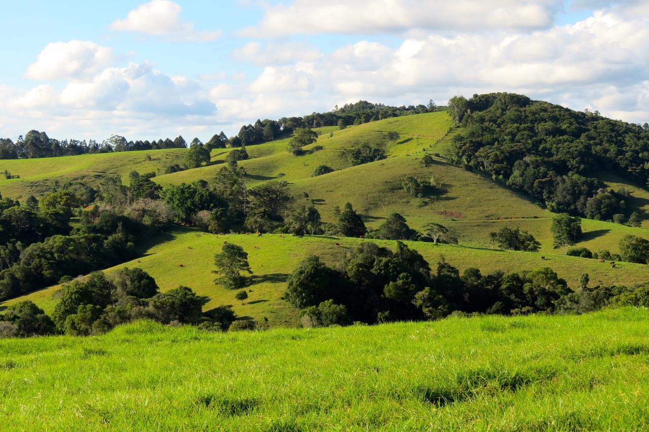 Reesville QLD Sunshine Coast Guide