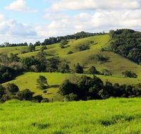 Maleny Springs Farm - Sunshine Coast Guide