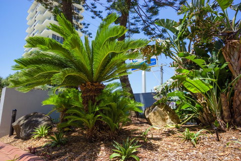 Carrington Court - Sunshine Coast Guide 37