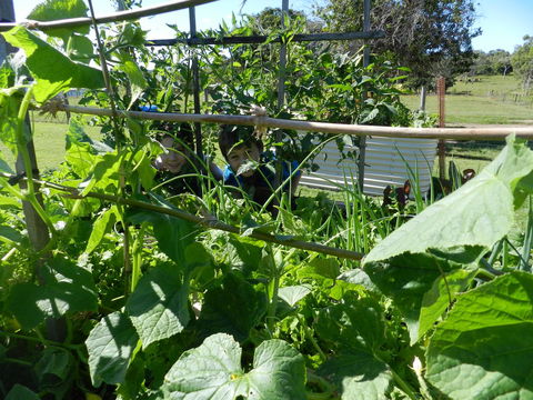 Hay Point Country BnB - Sunshine Coast Guide 17