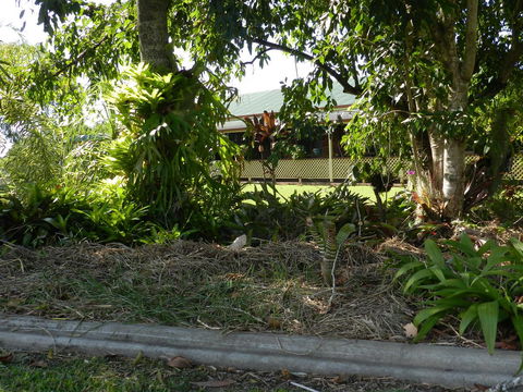 Hay Point Country BnB - Sunshine Coast Guide 23