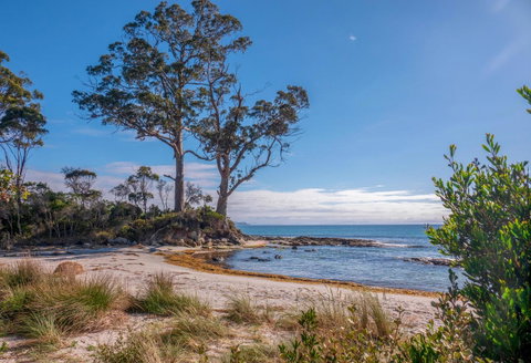 Adventure Bay Holiday Home - Sunshine Coast Guide 12