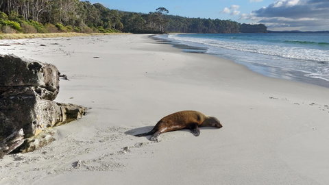 Adventure Bay Holiday Home - Sunshine Coast Guide 13