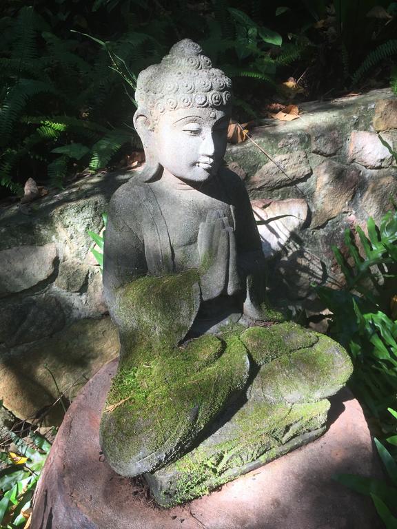 Coolum QLD Sunshine Coast Guide