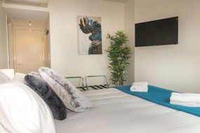 Book Brisbane Accommodation Sunshine Coast Guide Sunshine Coast Guide