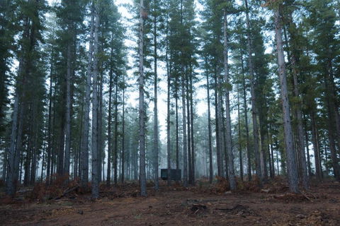 CABN Kuitpo Forest - Sunshine Coast Guide 2