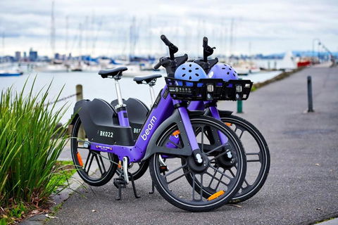 Contemporary Family Oasis In The Heart Of Newport - Sunshine Coast Guide 3