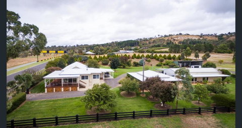 505 CONROD STRAIGHT MOUNT PANORAMA - Sunshine Coast Guide 1
