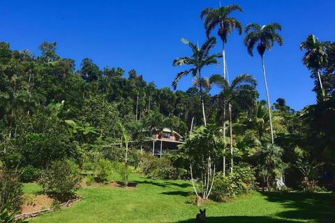 A Daintree Garden - Sunshine Coast Guide 0