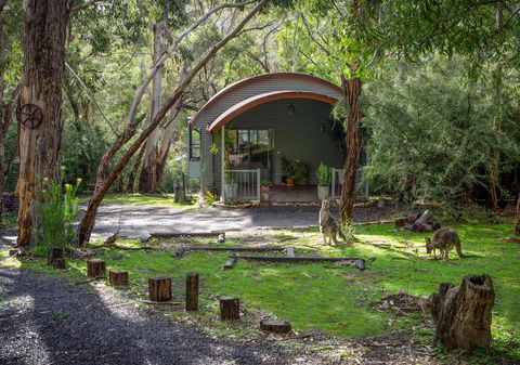 A Heavenly Escape - Sunshine Coast Guide 0