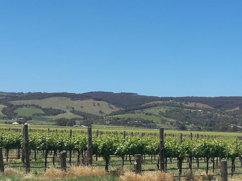 A Victor Harbour Retreat Aldinga Tony's Music Cottage - Sunshine Coast Guide 3