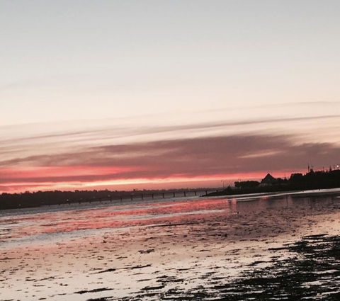 Abel Tasman On Esplanade - Sunshine Coast Guide 2