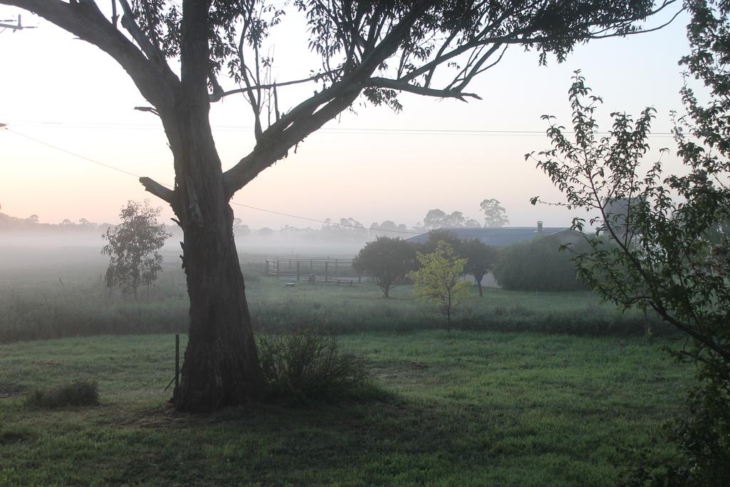 Arbuckle VIC Sunshine Coast Guide