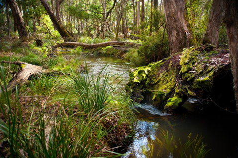 Ablac Studio - Sunshine Coast Guide 1