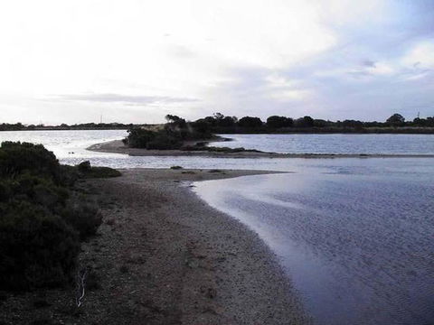 Absolute Waterfront - Sunshine Coast Guide 1