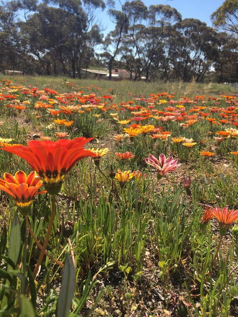 Acclaim Gateway Tourist Park - Sunshine Coast Guide 2