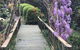 English Gardens - Forest Spa Suite - thumb 3