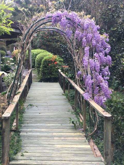English Gardens - Forest Spa Suite - Sunshine Coast Guide 3