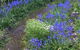 English Gardens - Forest Spa Suite - thumb 2