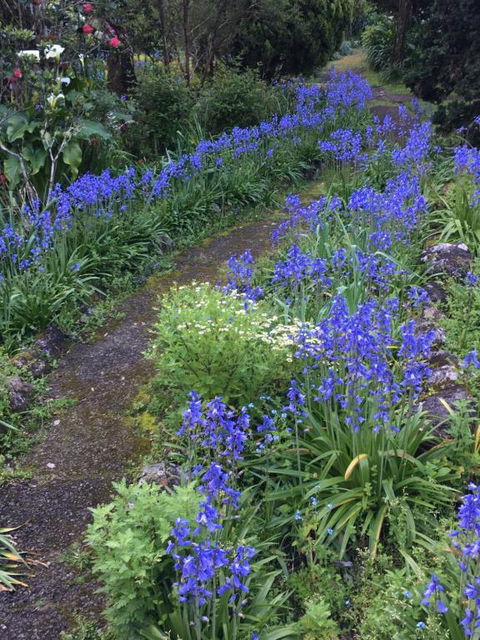 English Gardens - Forest Spa Suite - Sunshine Coast Guide 2