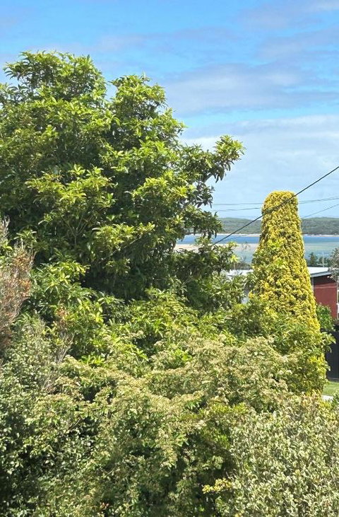 Iconic Beach House On Bruce - Sunshine Coast Guide 1