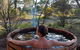 Island Alive Guest House - thumb 1