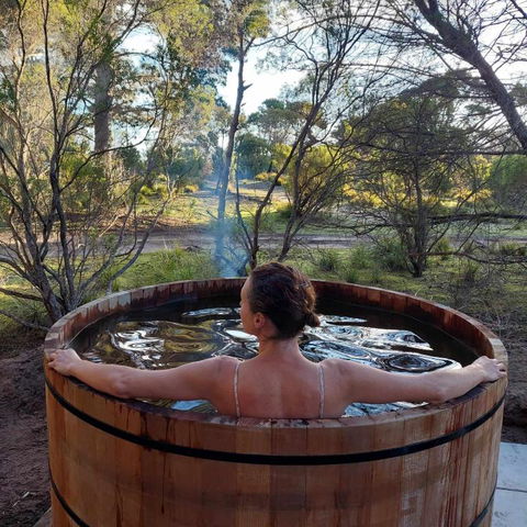 Island Alive Guest House - Sunshine Coast Guide 1