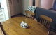Affordable Apartment Close To City And Beaches - thumb 3