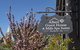 Albert Guest House And Mills Spa Suites - thumb 1
