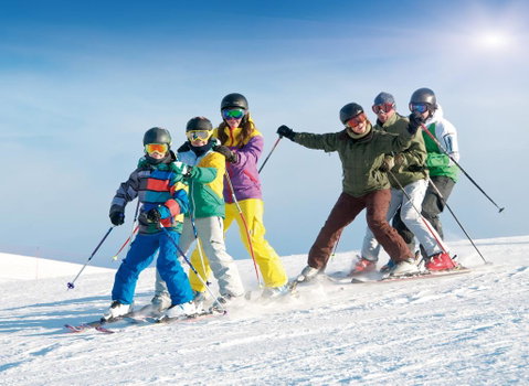 Alpine Resort Motel - Sunshine Coast Guide 2
