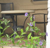 Amalie Cottage Waikerie