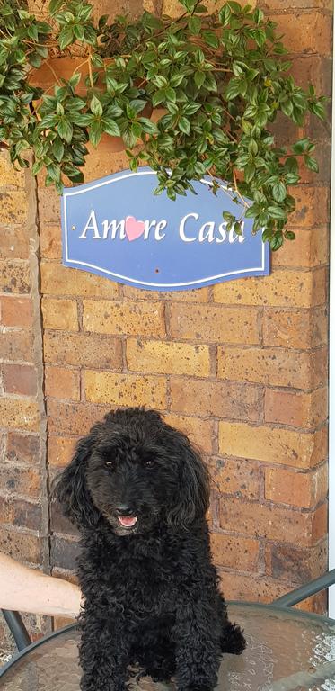 Amore Casa Tenterfield - Sunshine Coast Guide 2