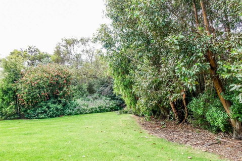 APOLLO BAY HOLIDAY HOUSE - Walk To Beach + Wifi - Sunshine Coast Guide 2