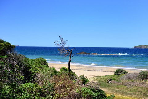 Aqualuna Beach Resort - Unit 25 - Sunshine Coast Guide 3