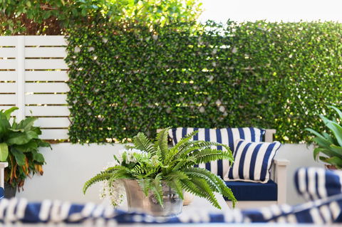 Arabella - Stylish Seaside Sanctuary With Views - Sunshine Coast Guide 2