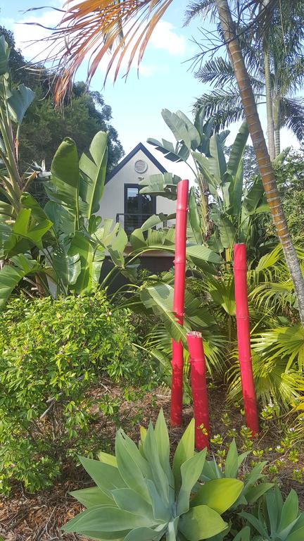Arbor-Grove The Loft - Sunshine Coast Guide 0