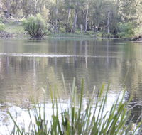 Arcadian Cabin - Southern Highlands River Retreat - Sunshine Coast Guide