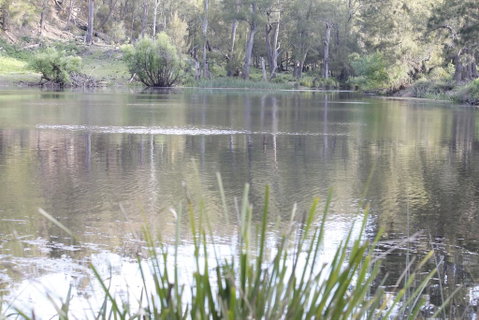 Arcadian Cabin - Southern Highlands River Retreat - Sunshine Coast Guide 0