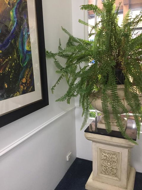 Art Hotel On York - Sunshine Coast Guide 2